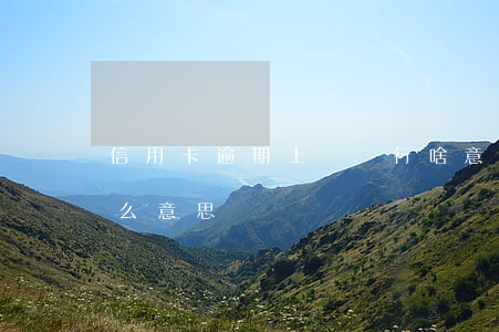 信用卡逾期上報總行啥意思(行用卡逾期是什么意思)
