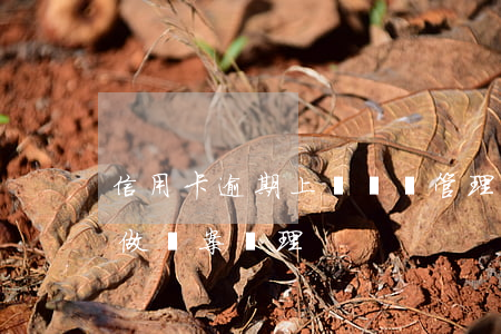 信用卡逾期上報風險管理(信用卡嚴重逾期擬做報案處理)