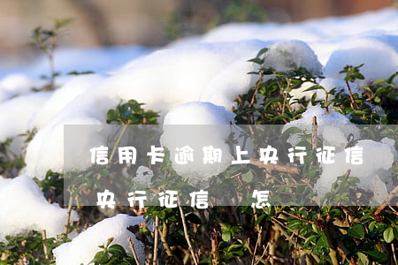 信用卡逾期上央行征信會怎樣 信用卡逾期上央行征信會怎樣嗎