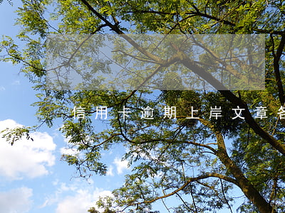 信用卡逾期上岸文章(各種逾期求上岸)