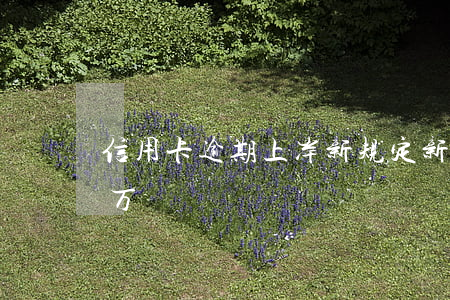 信用卡逾期上岸新规定 新法规信用卡逾期2万
