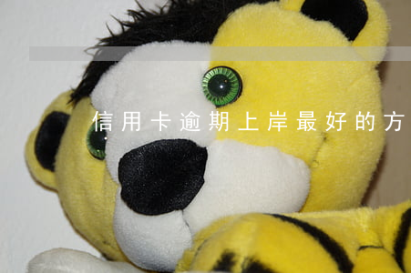 信用卡逾期上岸最好的方法(想上岸必須逾期)