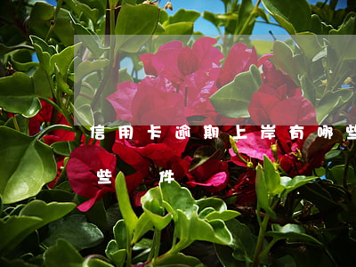 信用卡逾期上岸有哪些(信用卡逾期上岸有哪些條件)
