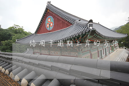信用卡逾期上岸的方法-各種逾期求上岸