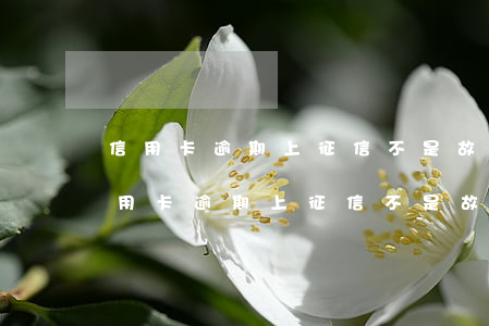 信用卡逾期上征信不是故意的如何解決-信用卡逾期上征信不是故意的如何解決呢
