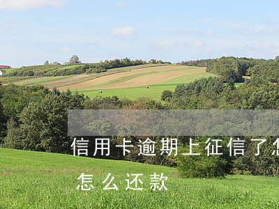 信用卡逾期上征信了怎么还款(征信上的逾期怎么还款)