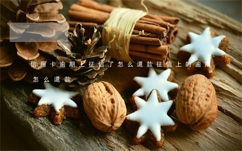 信用卡逾期上征信了怎么還款(征信上的逾期怎么還款)