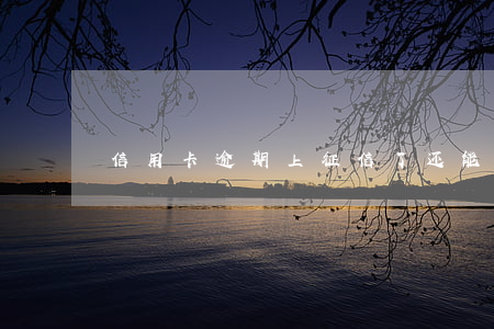 信用卡逾期上征信了还能用吗