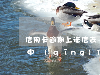 信用卡逾期上征信去銀行申訴-征信逾期能申請(qǐng)信用卡