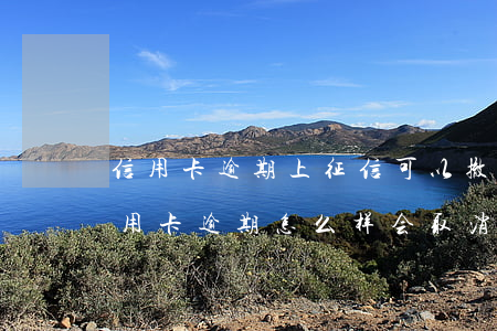信用卡逾期上征信可以撤回吗(征信上面的信用卡逾期怎么样会取消)