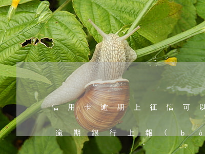 信用卡逾期上征信可以撤銷(xiāo)嗎 逾期銀行上報(bào)征信后能取消嗎