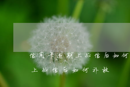 信用卡逾期上征信后如何补救-信用卡逾期上征信后如何补救
