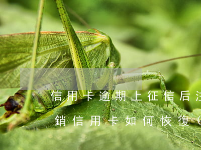 信用卡逾期上征信后注銷信用卡-逾期后注銷信用卡, 如何恢復(fù)征信