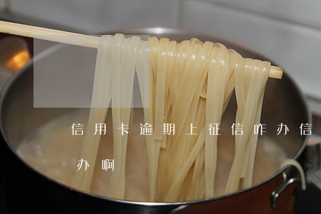 信用卡逾期上征信咋办(信用卡逾期上征信咋办啊)