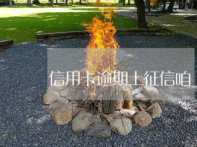 信用卡逾期上征信咱辦(信用卡逾期上征信咱辦)