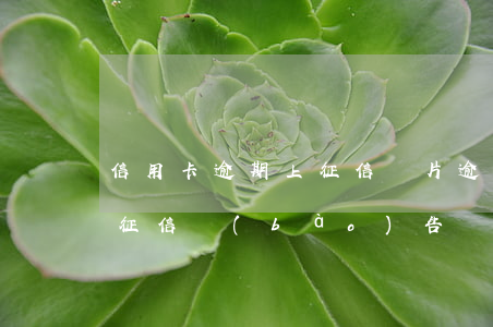 信用卡逾期上征信圖片(逾期過(guò)的征信報(bào)告圖片)