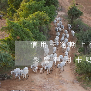 信用卡逾期上征信報告有影響嗎(征信逾期會影響信用卡嗎)