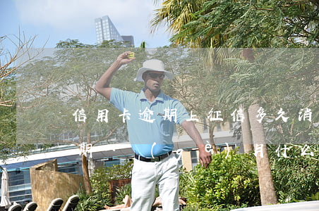 信用卡逾期上征信多久消除(征信上信用卡逾期一個(gè)月 什么時(shí)候能消除)