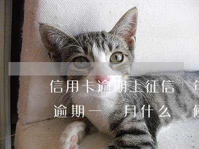 信用卡逾期上征信幾年后消除(征信上信用卡逾期一個月 什么時候能消除)