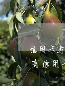 信用卡逾期上征信影響坐飛機(jī)嗎-有信用卡逾期可以坐飛機(jī)嗎