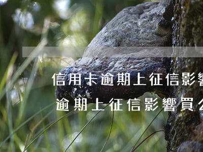 信用卡逾期上征信影響買公積金嗎-信用卡逾期上征信影響買公積金嗎