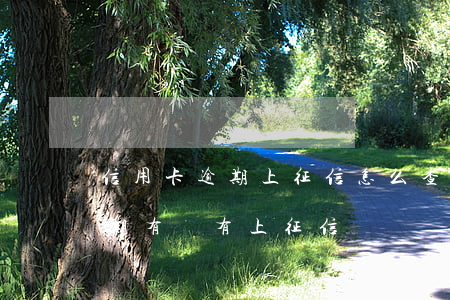 信用卡逾期上征信怎么查(怎么知道信用卡逾期有沒有上征信)