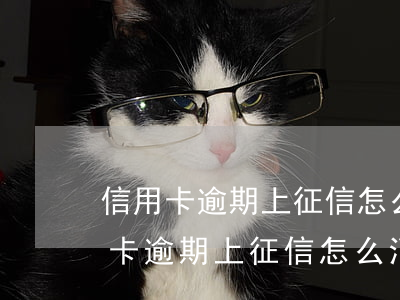 信用卡逾期上征信怎么消除不良記錄-信用卡逾期上征信怎么消除不良記錄呢