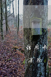 信用卡逾期上征信怎么銷(征信有個逾期怎么消除)