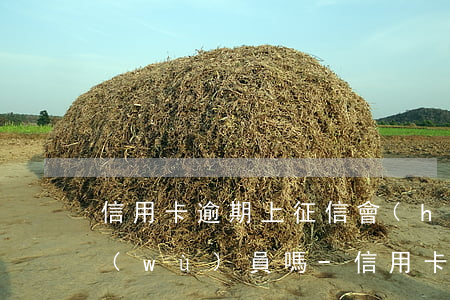 信用卡逾期上征信會(huì)影響考公務(wù)員嗎-信用卡逾期上征信會(huì)影響考公務(wù)員嗎知乎