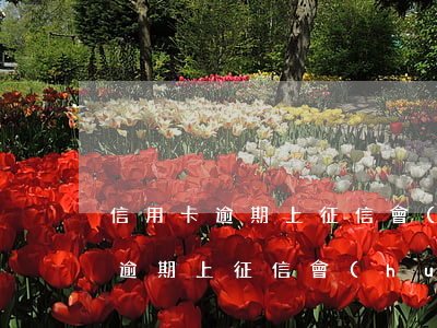 信用卡逾期上征信會(huì)通知(信用卡逾期上征信會(huì)通知嗎)