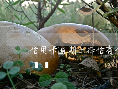 信用卡逾期上征信有什么壞處 征信逾期有啥壞處
