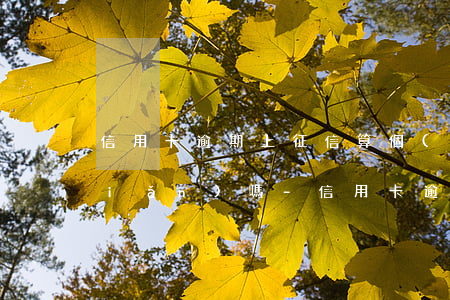 信用卡逾期上征信算個(gè)人污點(diǎn)嗎-信用卡逾期上征信算個(gè)人污點(diǎn)嗎怎么辦