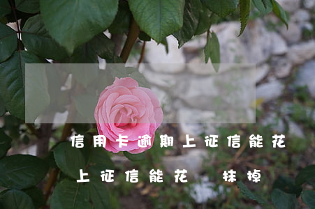 信用卡逾期上征信能花錢抹掉嗎(信用卡逾期上征信能花錢抹掉嗎)