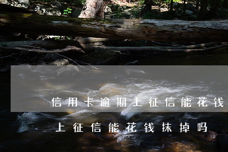 信用卡逾期上征信能花钱抹掉吗(信用卡逾期上征信能花钱抹掉吗)