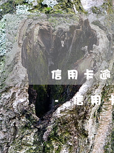 信用卡逾期上征信要多久才能恢復(fù)-信用卡逾期上征信要多久才能恢復(fù)正常