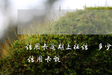 信用卡逾期上征信還多少錢逾期(征信有逾期信用卡能過嗎)