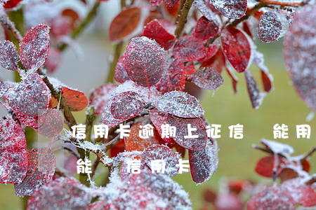 信用卡逾期上征信還能用嗎(征信上有過逾期能辦信用卡嗎)