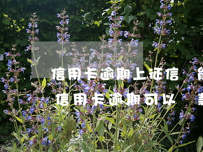 信用卡逾期上征信還能辦理房貸嗎-征信有信用卡逾期可以貸款買房嗎