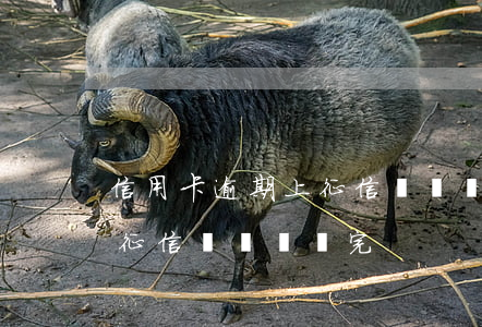 信用卡逾期上征信錢還沒還完 信用卡逾期上征信錢還沒還完