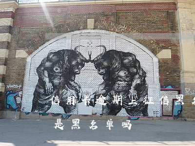 信用卡逾期上征信黑名单怎么办(征信逾期就是黑名单吗)