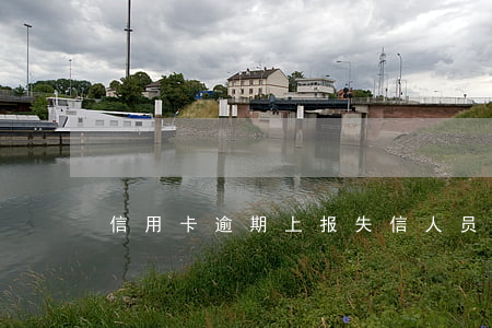 信用卡逾期上报失信人员吗(信用卡 失信)