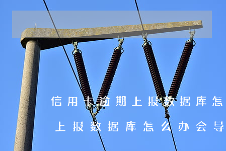 信用卡逾期上报数据库怎么办-信用卡逾期上报数据库怎么办,会导致我不能坐车吗
