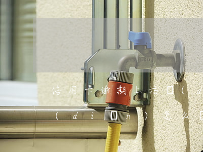 信用卡逾期上污點(diǎn)(征信有污點(diǎn)怎么辦信用卡)