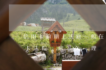 信用卡逾期上法庭一般在哪里開庭-欠信用卡法院開庭怎么處理
