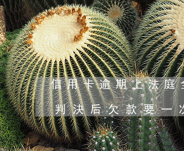 信用卡逾期上法庭全部還款(信用卡逾期法院判決后欠款要一次性還完嗎)