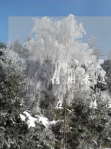 信用卡逾期上法庭圖-法院現(xiàn)在還接受信用卡逾期案件嗎