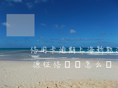 信用卡逾期上海新能源額度申請-上海新能源征信沒過怎么辦