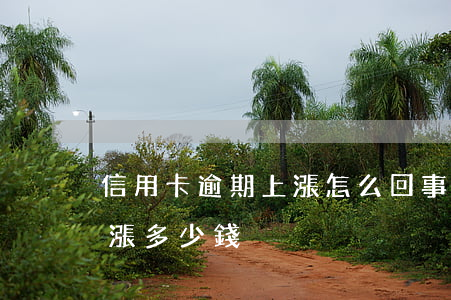 信用卡逾期上漲怎么回事(信用卡逾期最多能漲多少錢)