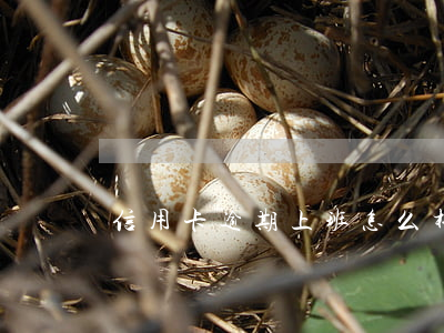 信用卡逾期上班怎么样(有逾期想办信用卡)