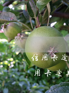 信用卡逾期上班還能交五險(xiǎn)(信用卡逾期上班還能交五險(xiǎn))